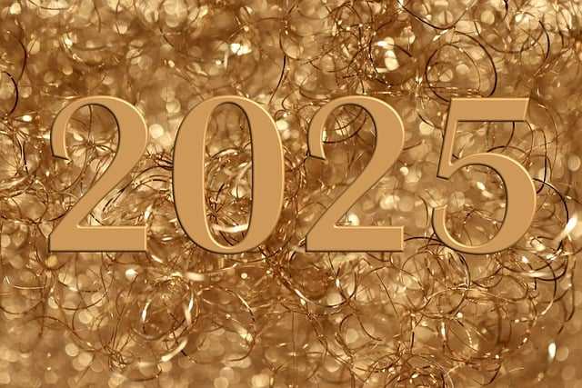 2025년예산안007.jpg