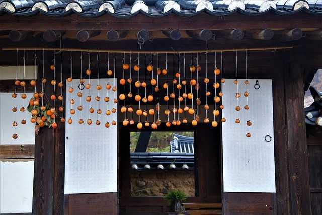 곶감용대봉010.jpg