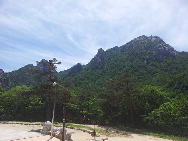농협생력침향환001.jpg