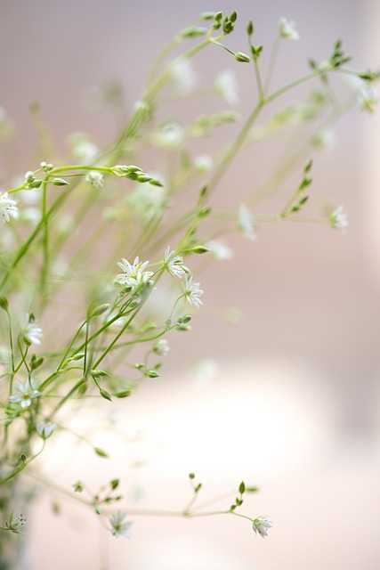 오일파스텔정규003.jpg